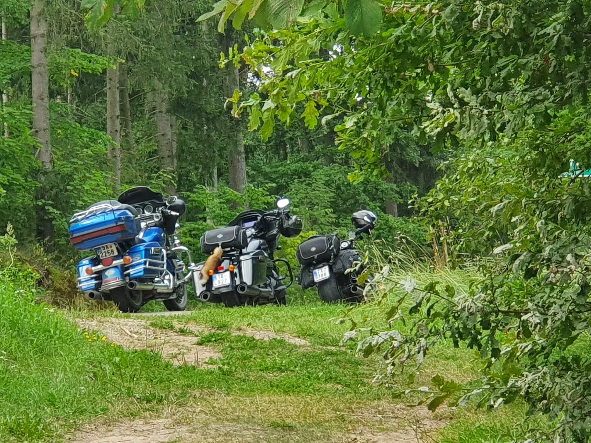 Motowycieczki przygotowały oraz sfinansowały podróż  na WHEELS AND GRILL Pskov